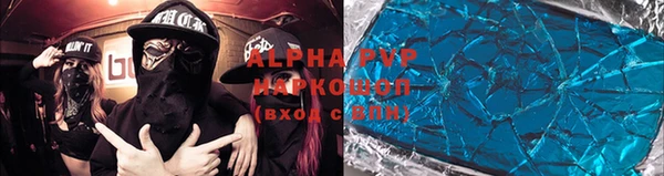 гидра Новодвинск