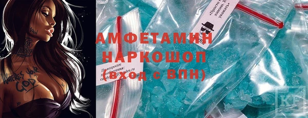 гидра Новодвинск