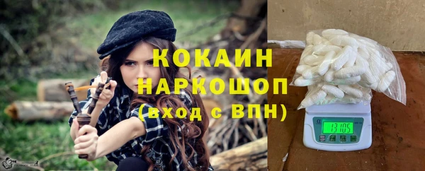 гидра Новодвинск