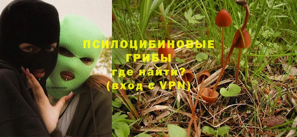 Альфа ПВП Новозыбков