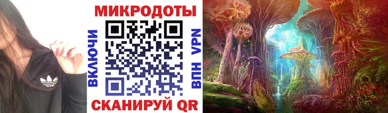 Псилоцибиновые грибы Psilocybe что такое наркотик Яровое